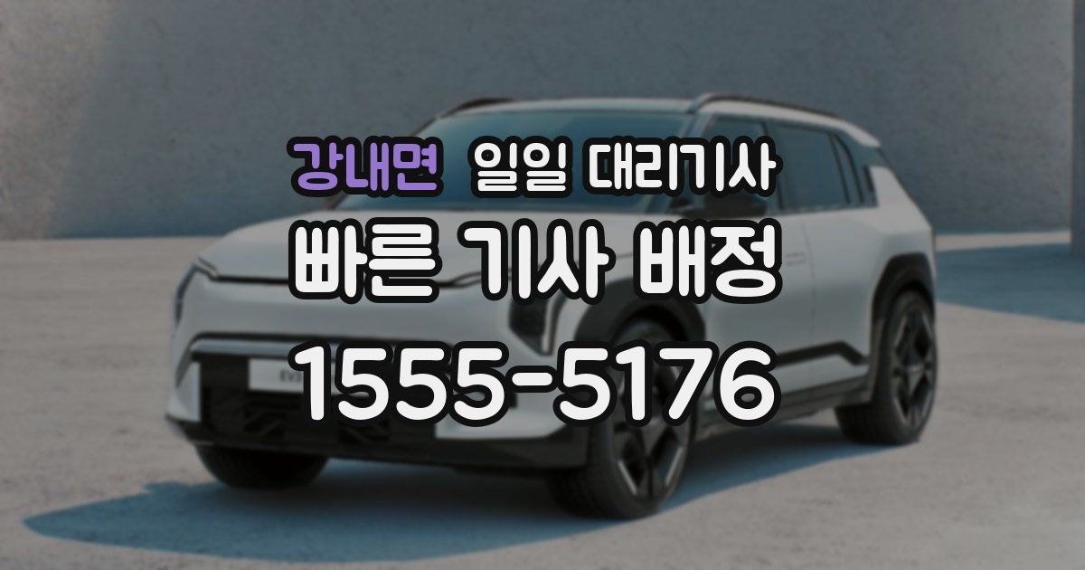 강내면 일일 대리기사