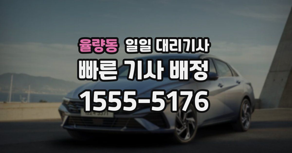 율량동 일일 대리기사