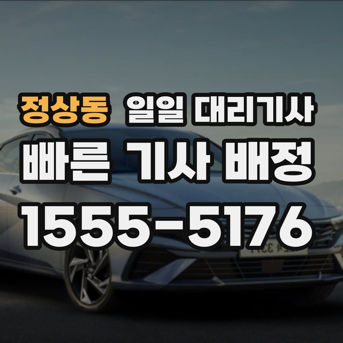 정상동 일일 대리기사