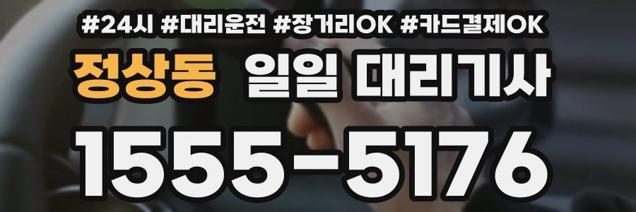 정상동 일일 대리기사
