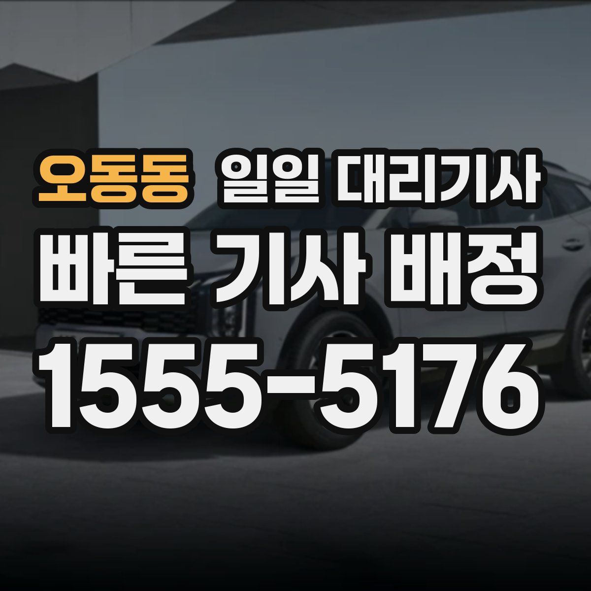 오동동 일일 대리기사