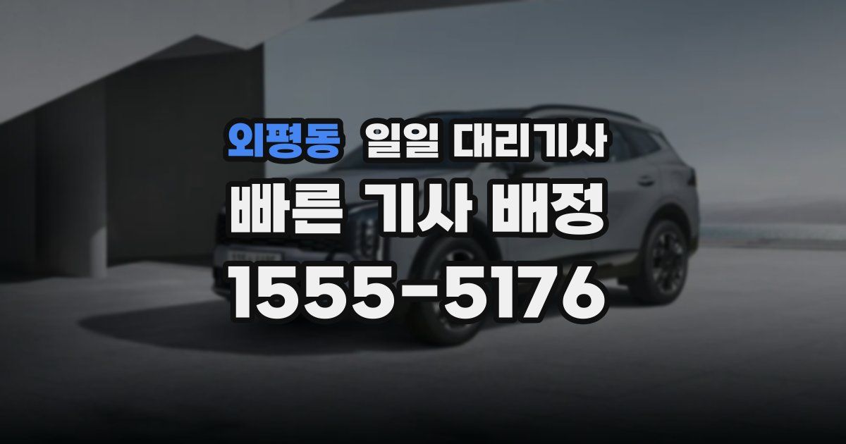 외평동 일일 대리기사