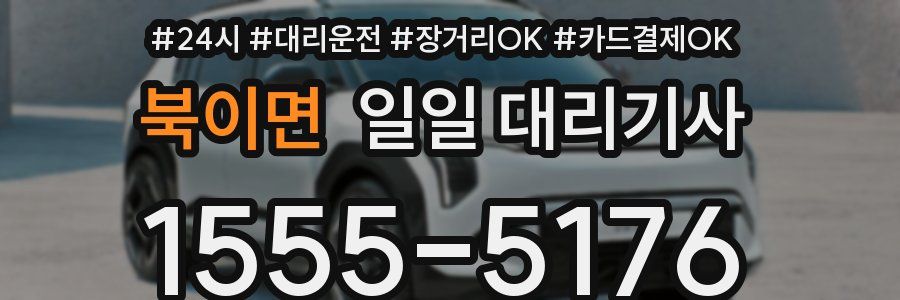 북이면 일일 대리기사