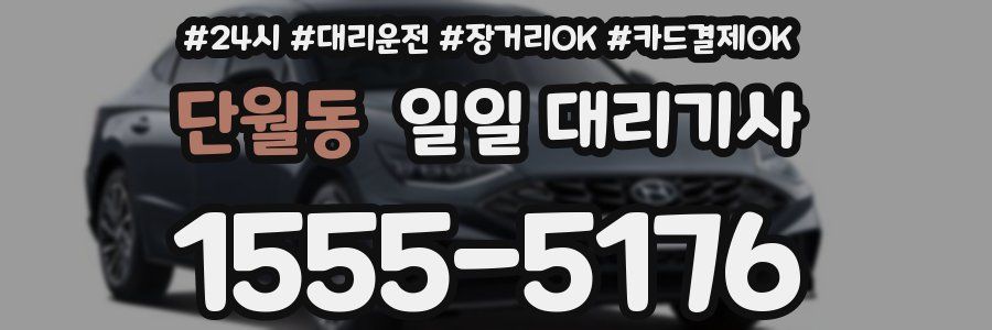 단월동 일일 대리기사