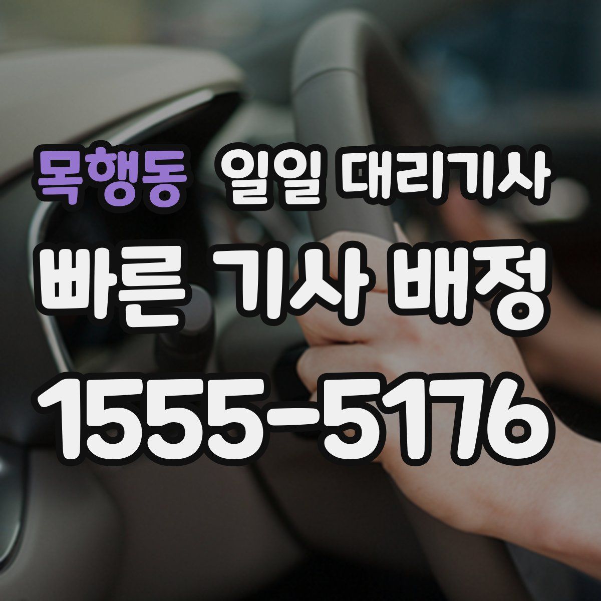 목행동 일일 대리기사