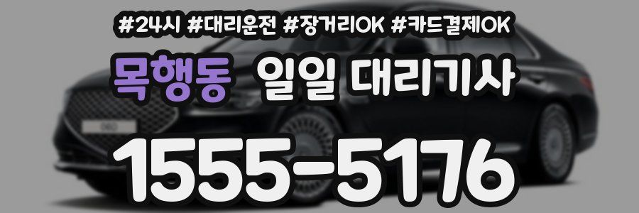 목행동 일일 대리기사