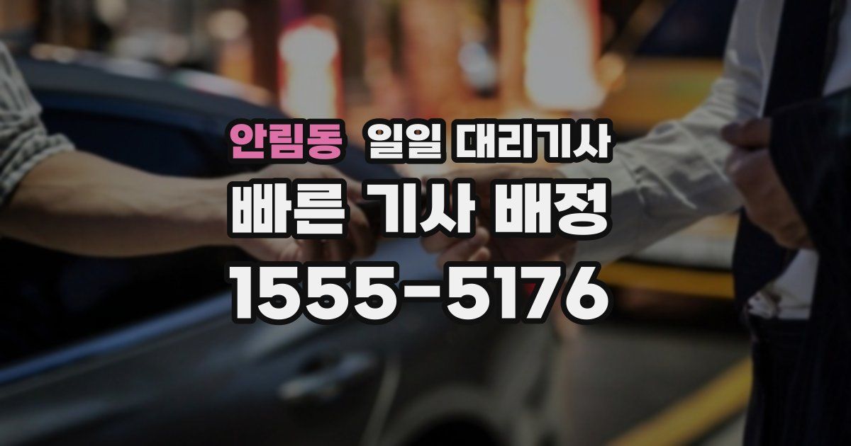 안림동 일일 대리기사