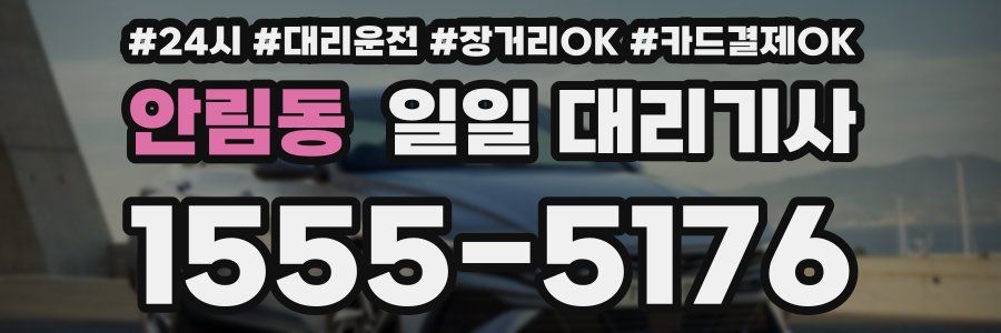 안림동 일일 대리기사