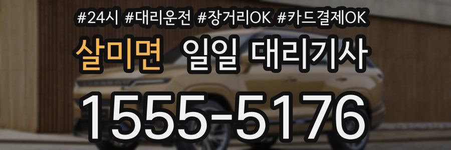 살미면 일일 대리기사