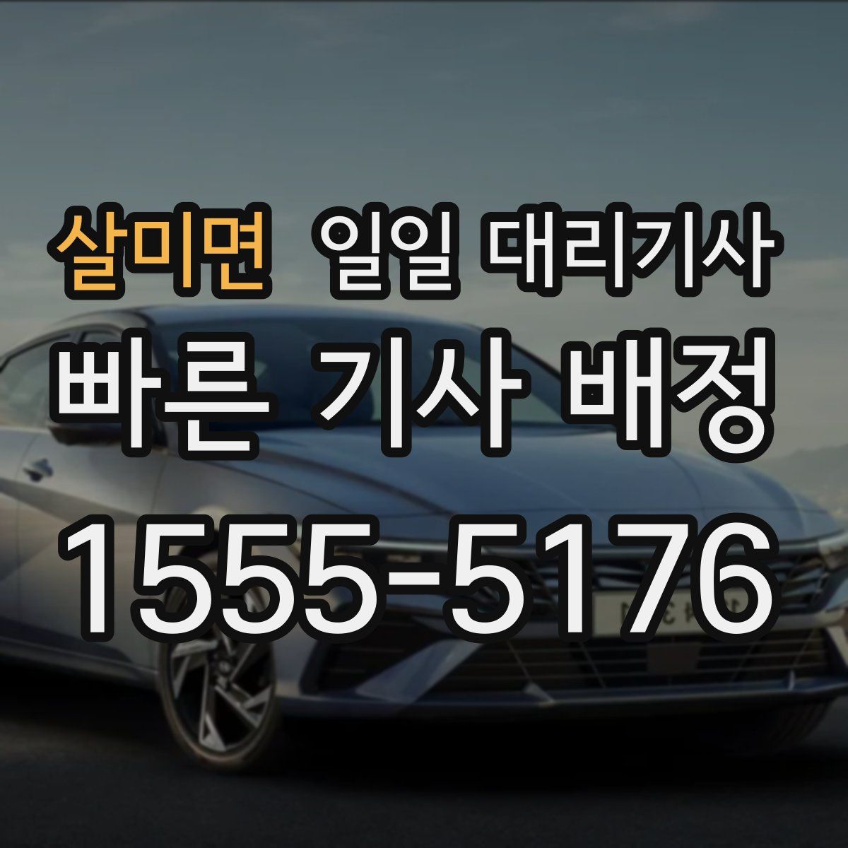 살미면 일일 대리기사