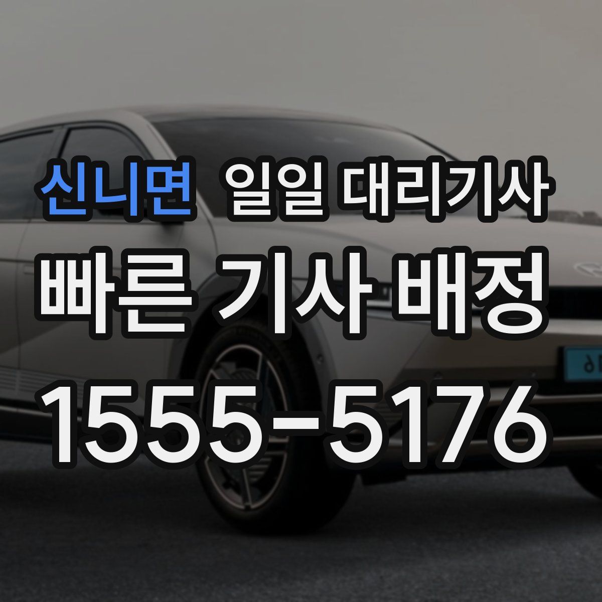 신니면 일일 대리기사