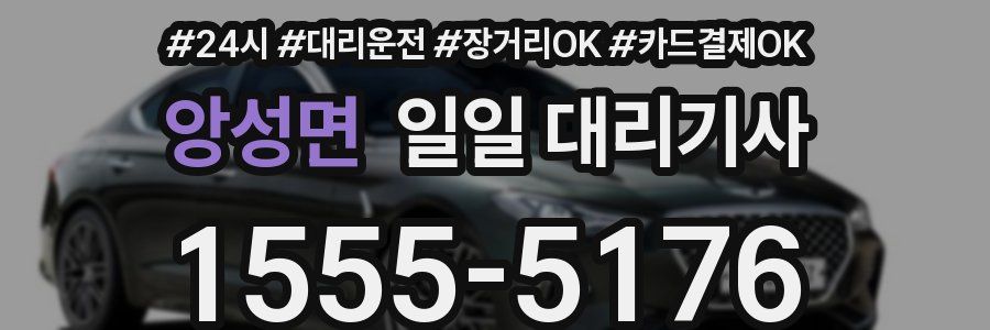 앙성면 일일 대리기사