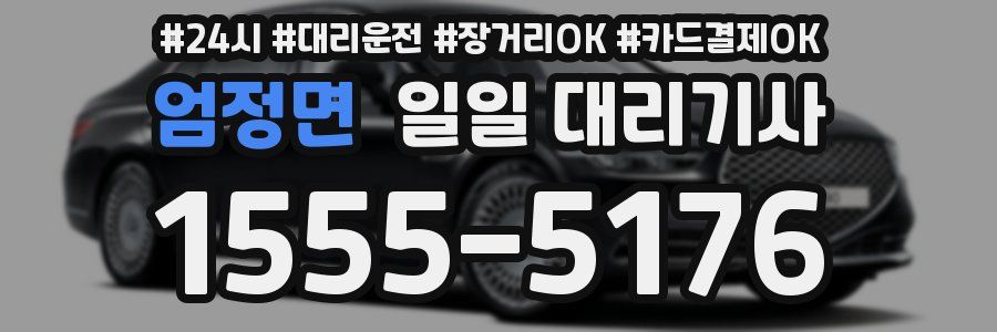 엄정면 일일 대리기사
