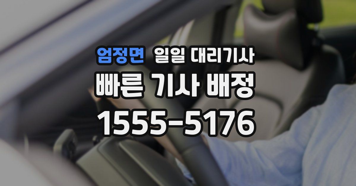 엄정면 일일 대리기사
