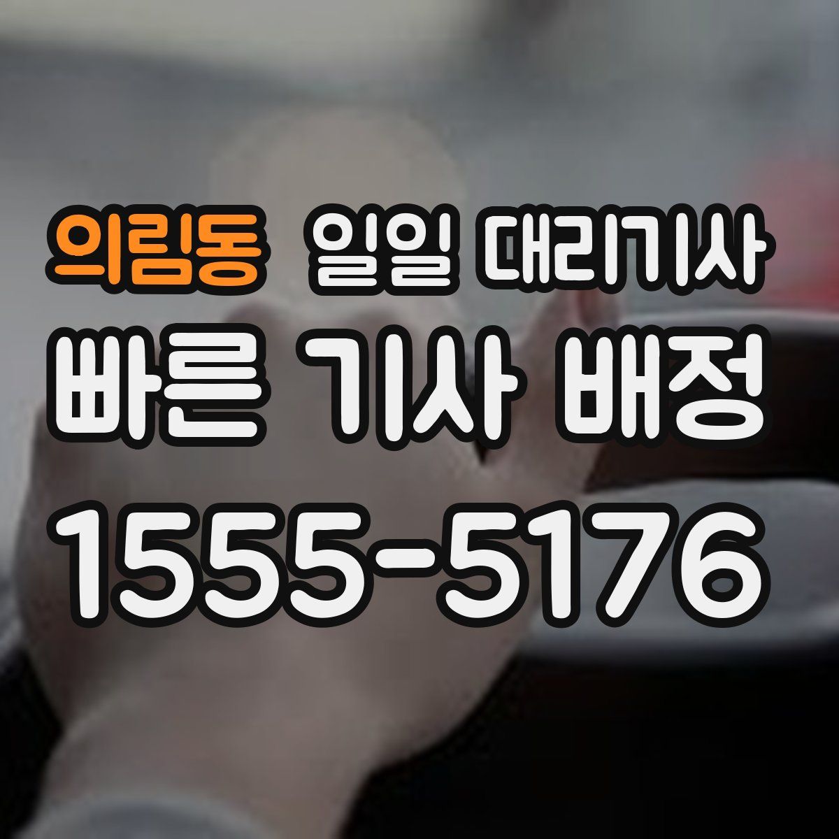 의림동 일일 대리기사