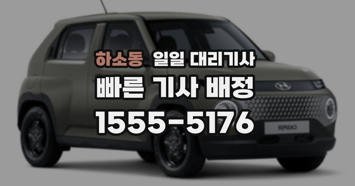 하소동 일일 대리기사