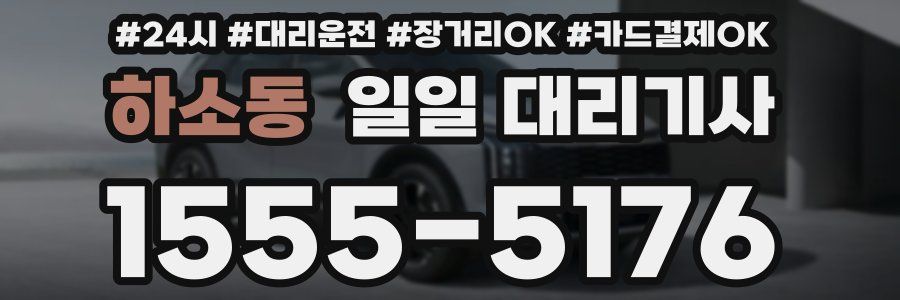 하소동 일일 대리기사