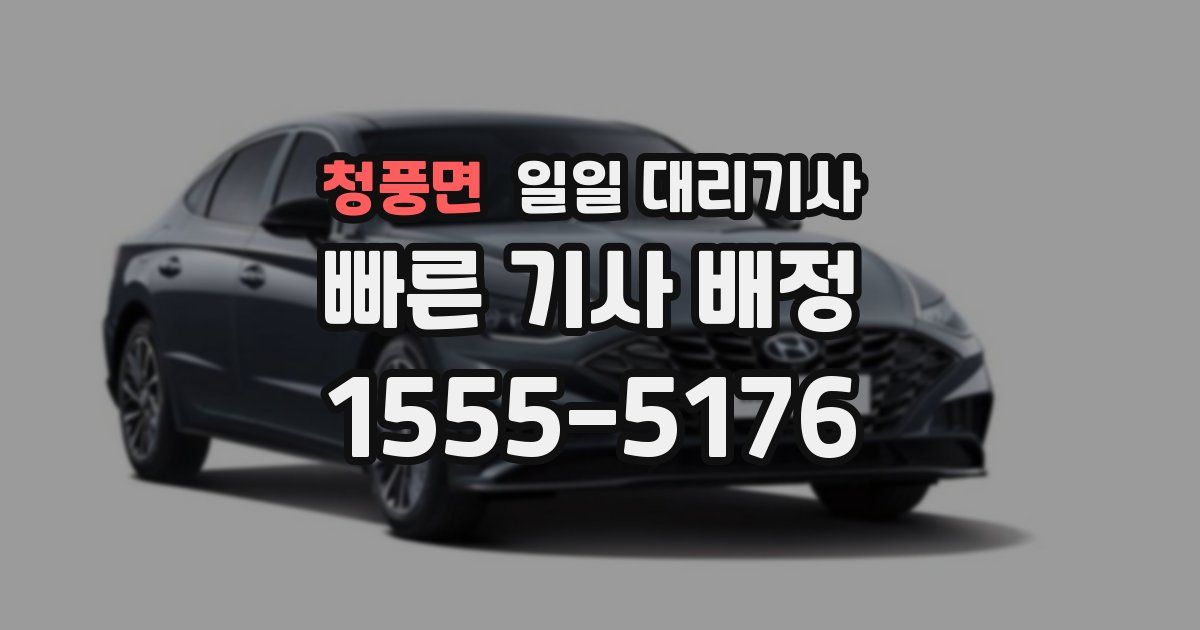 청풍면 일일 대리기사