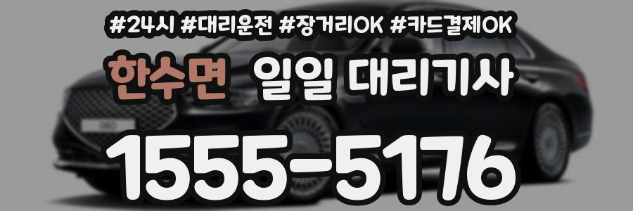 한수면 일일 대리기사
