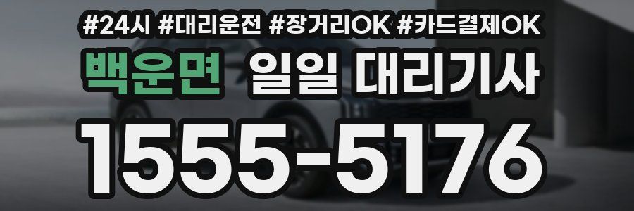 백운면 일일 대리기사