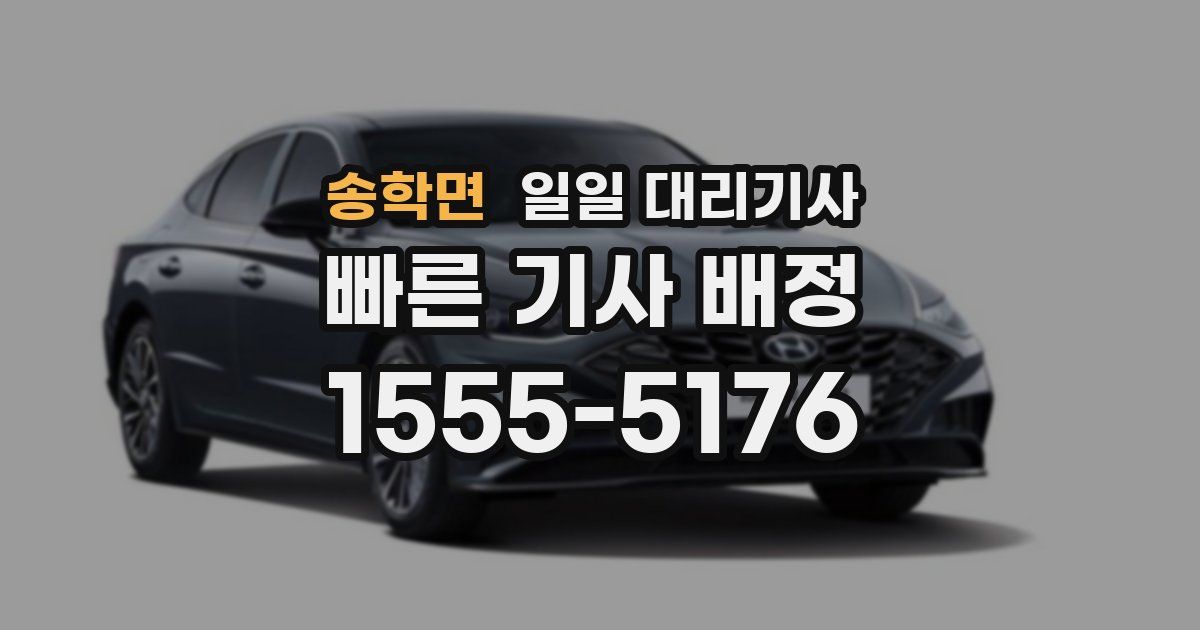 송학면 일일 대리기사