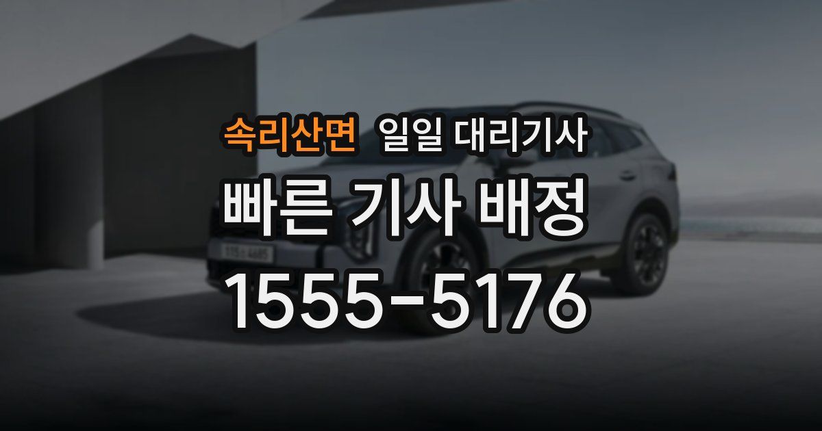 속리산면 일일 대리기사