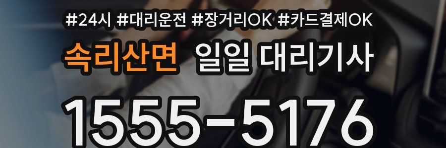 속리산면 일일 대리기사