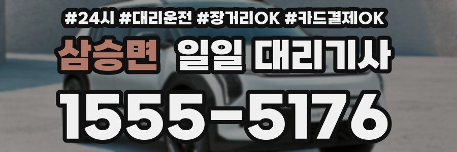 삼승면 일일 대리기사