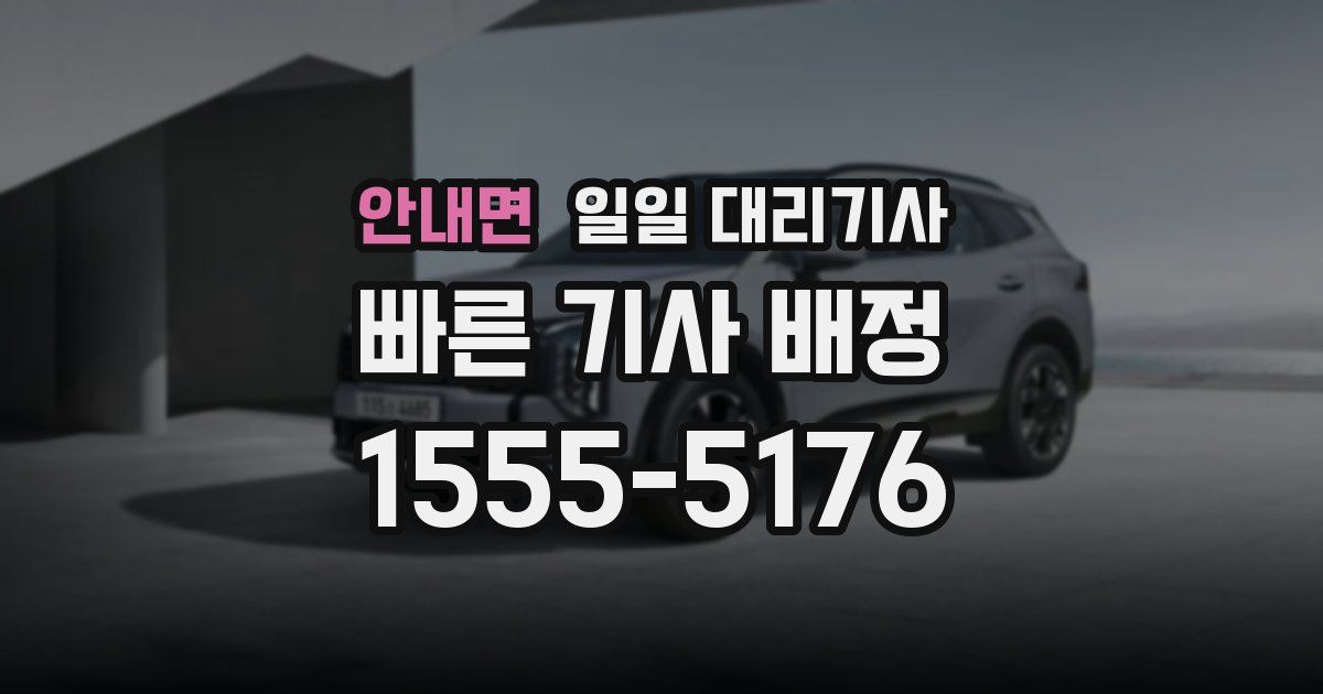 안내면 일일 대리기사