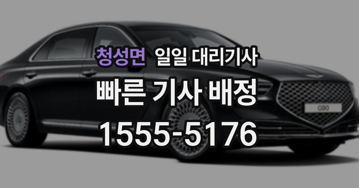 청성면 일일 대리기사