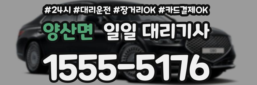 양산면 일일 대리기사