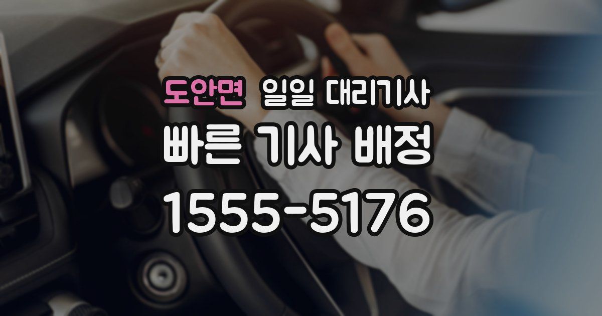 도안면 일일 대리기사