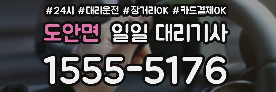 도안면 일일 대리기사