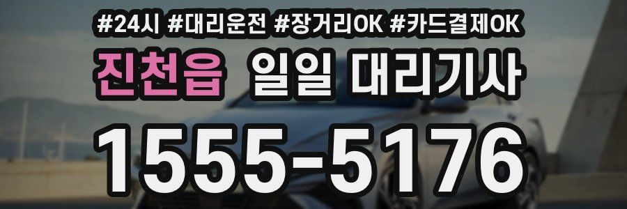 진천읍 일일 대리기사
