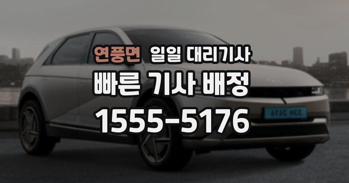 연풍면 일일 대리기사
