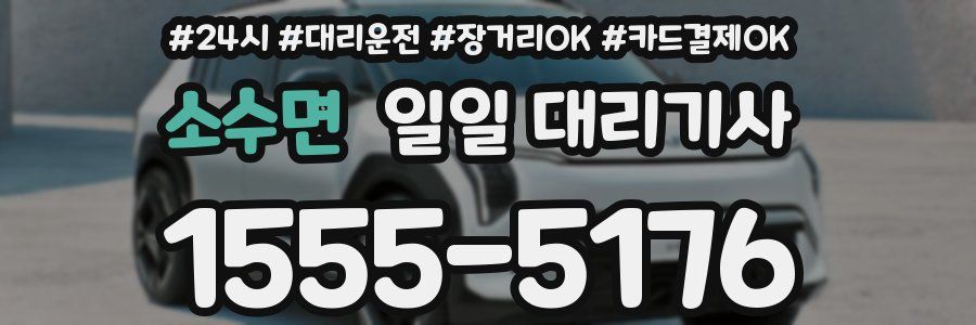 소수면 일일 대리기사