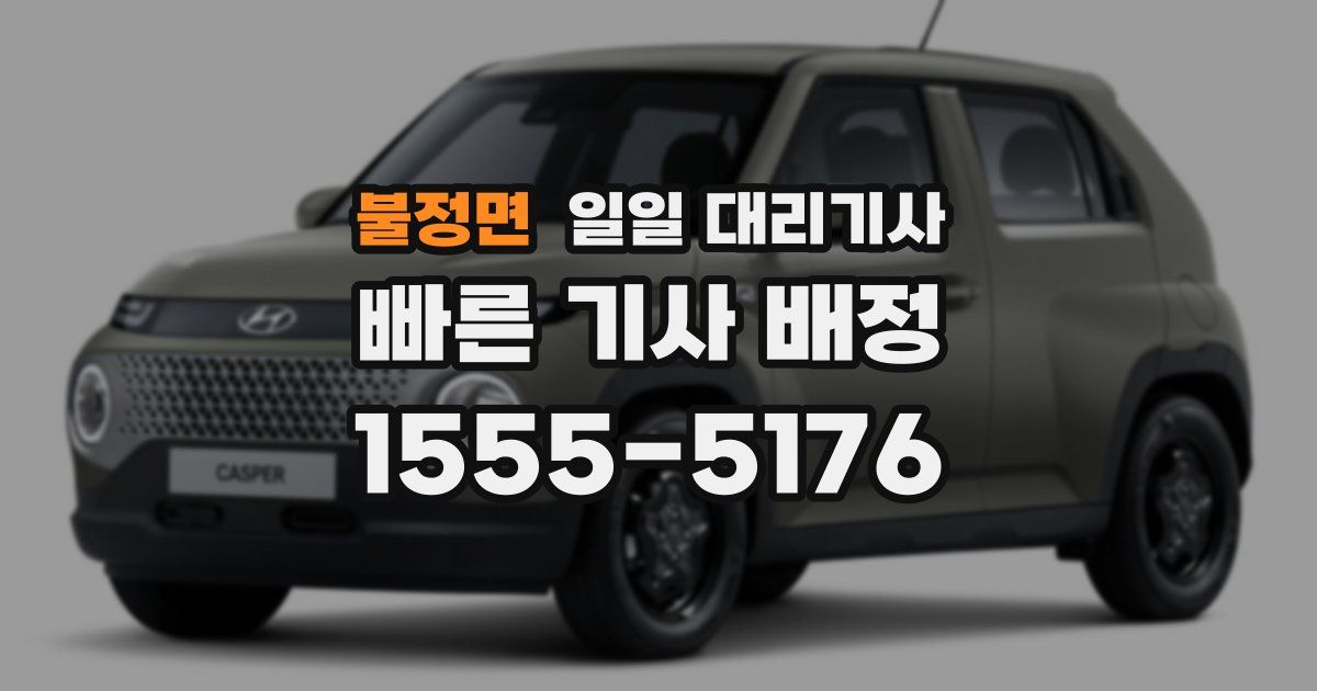 불정면 일일 대리기사