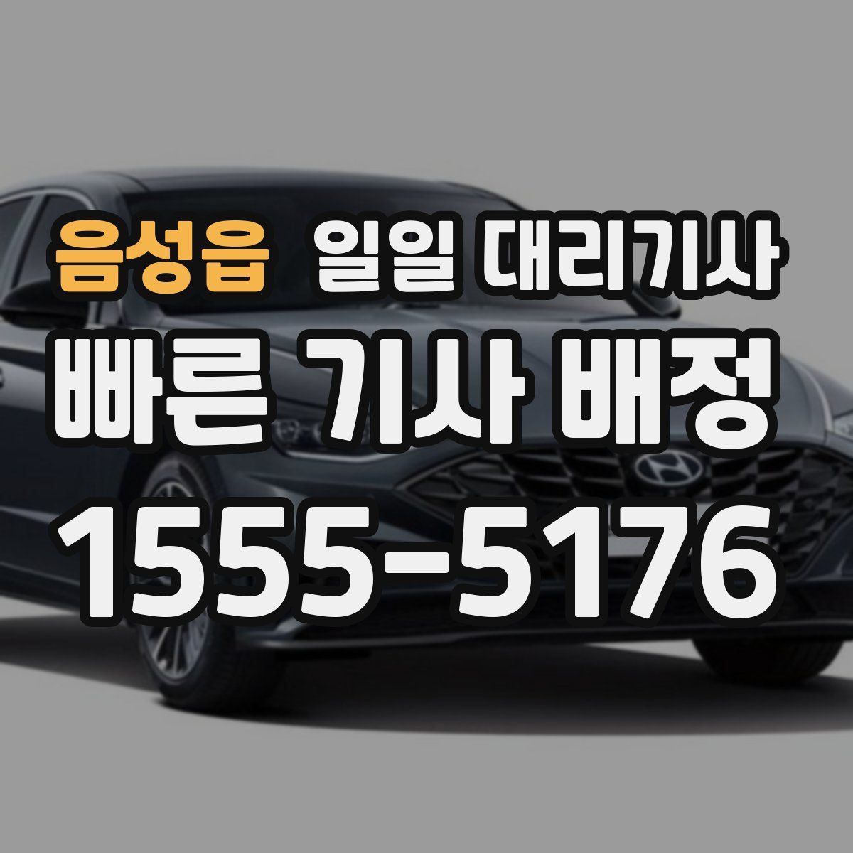 음성읍 일일 대리기사