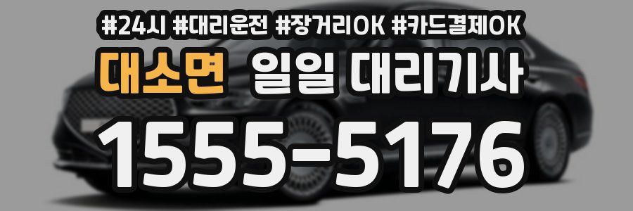 대소면 일일 대리기사
