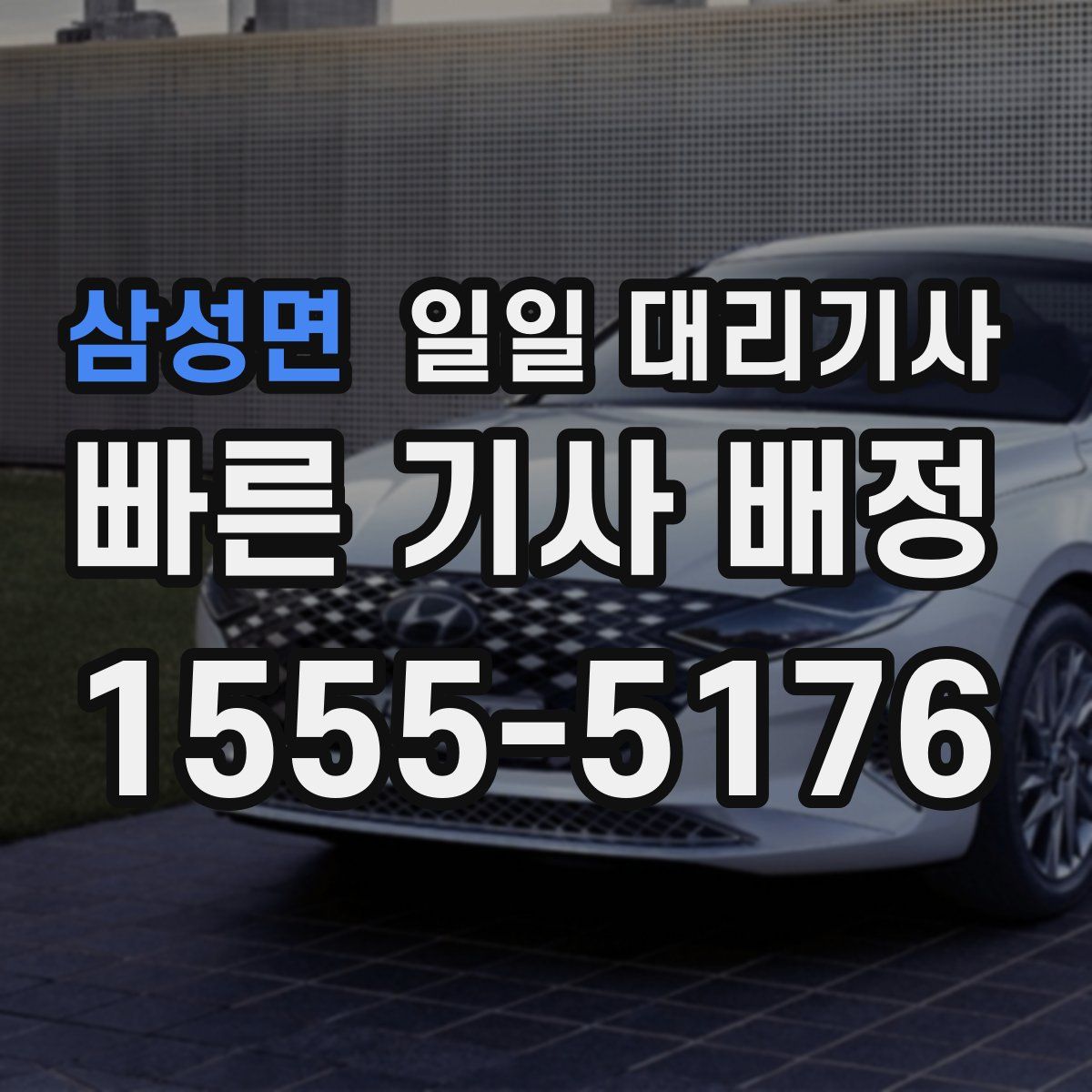 삼성면 일일 대리기사