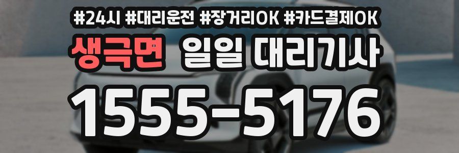 생극면 일일 대리기사
