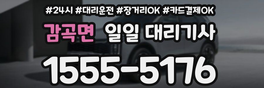 감곡면 일일 대리기사