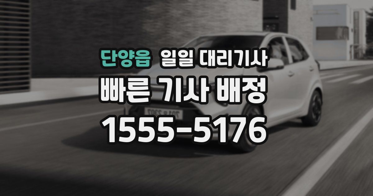 단양읍 일일 대리기사