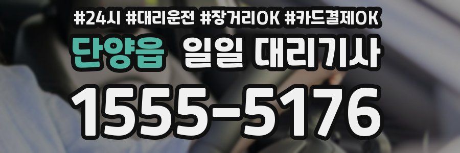 단양읍 일일 대리기사