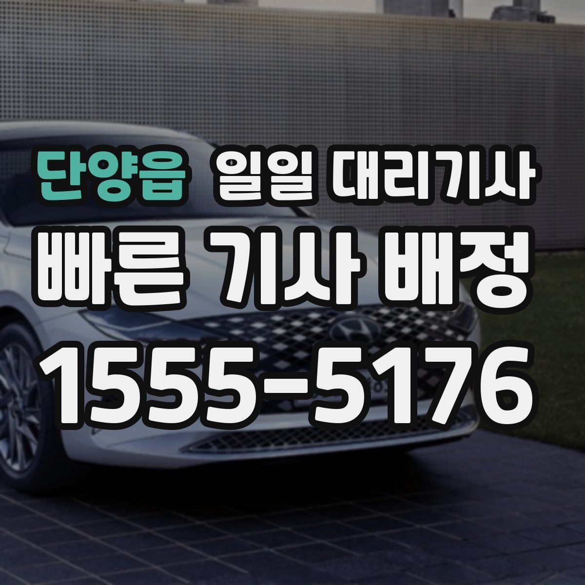 단양읍 일일 대리기사