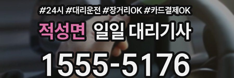 적성면 일일 대리기사