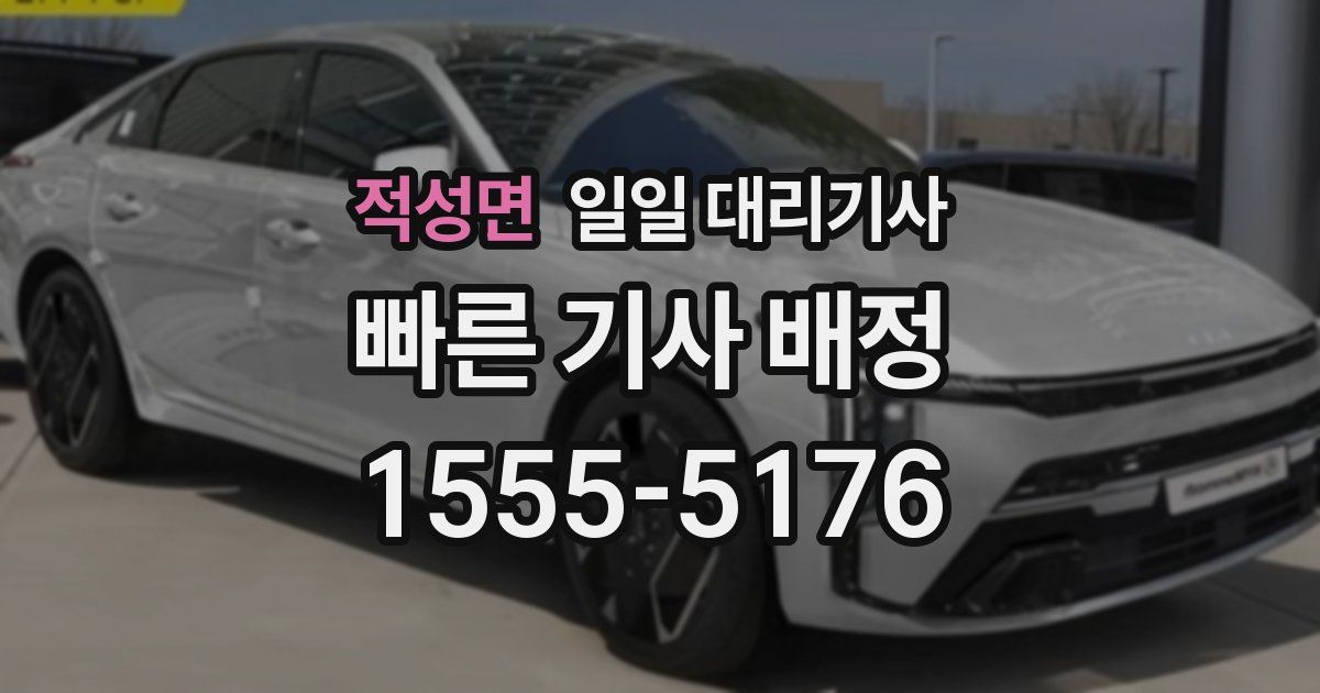 적성면 일일 대리기사
