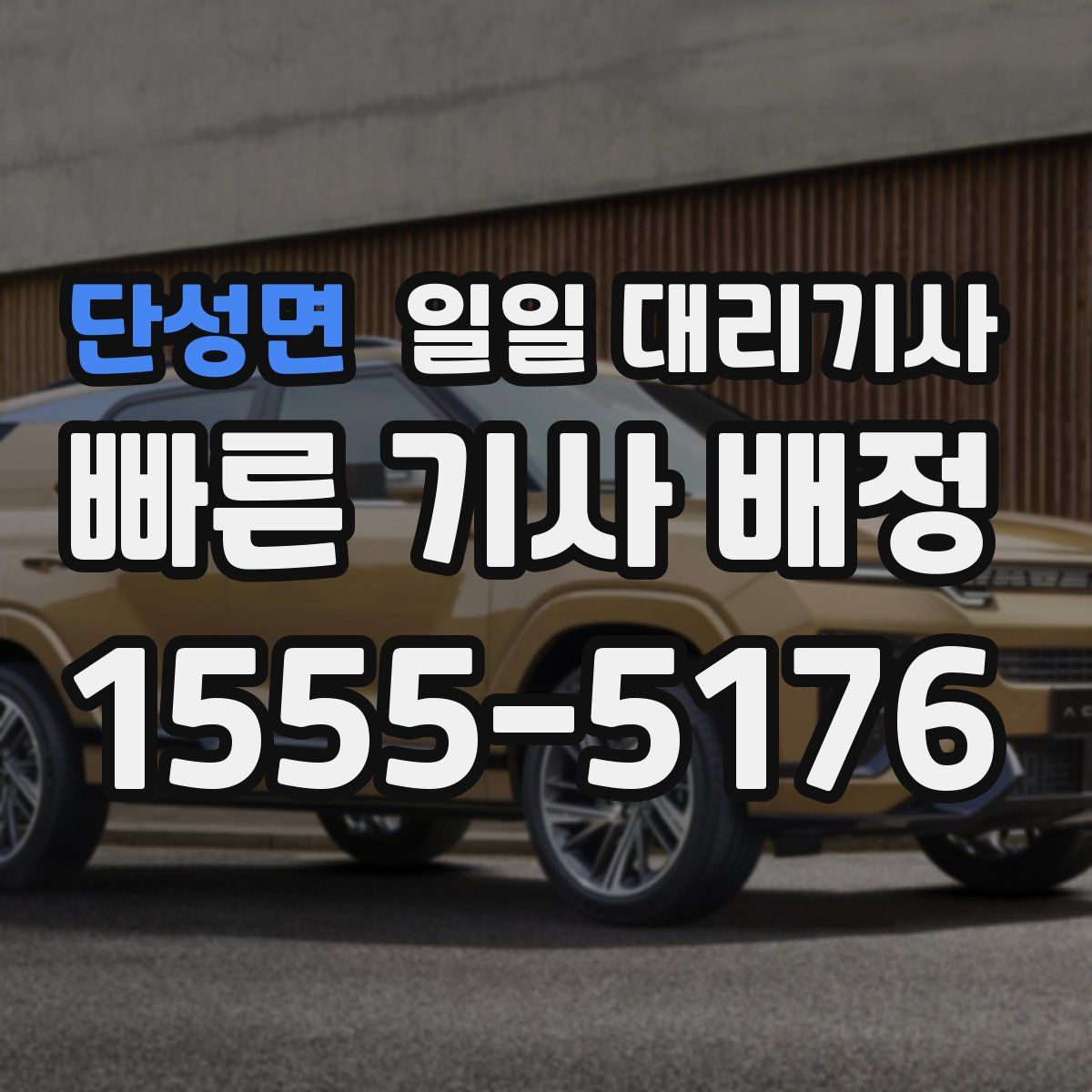 단성면 일일 대리기사