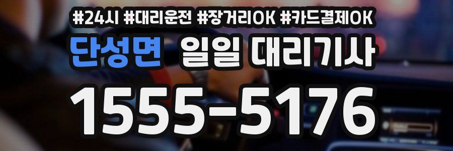 단성면 일일 대리기사