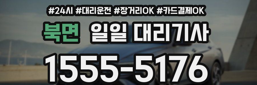 북면 일일 대리기사